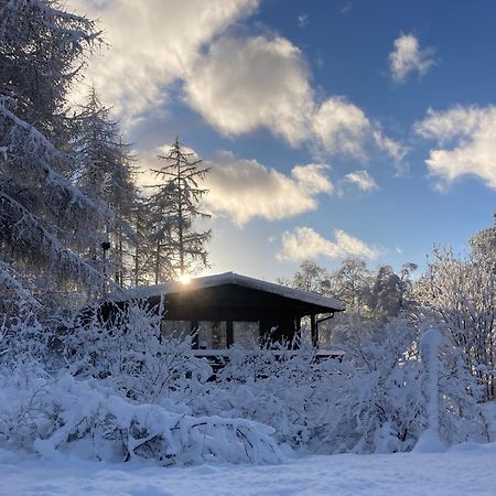 威廉堡Woodland Retreats公寓 外观 照片