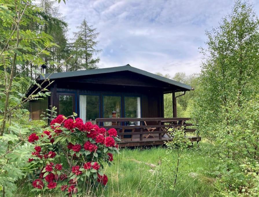威廉堡Woodland Retreats公寓 外观 照片