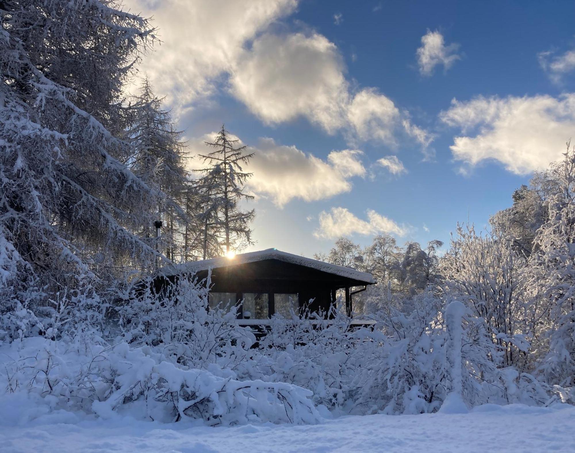 威廉堡Woodland Retreats公寓 外观 照片