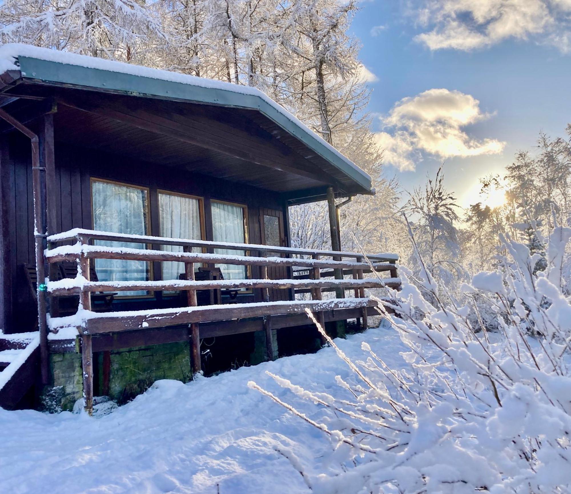 威廉堡Woodland Retreats公寓 外观 照片